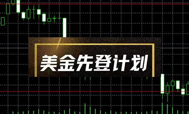 美金先登计划(2025黑马项目