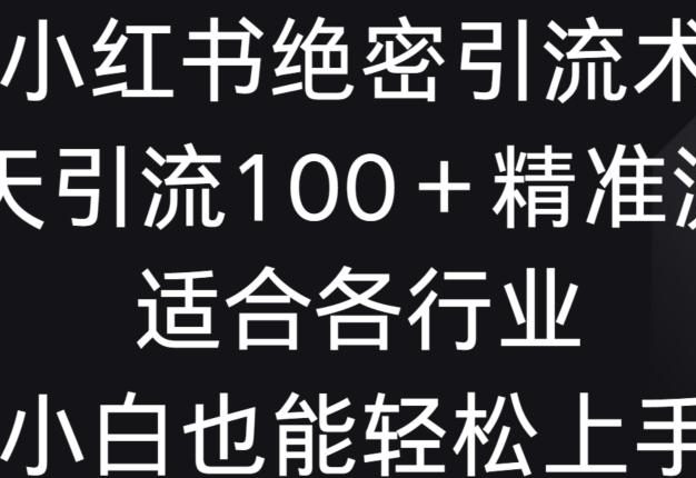 小红书绝密引流术，一天引流100+精准流量，适合各个行业，小白也能轻松上手【揭秘】