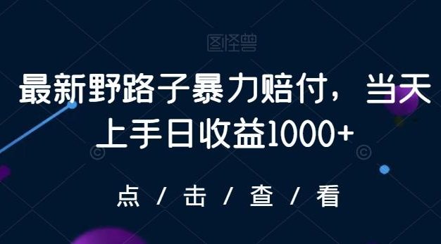 最新野路子暴力赔付，当天上手日收益1000+【仅揭秘】
