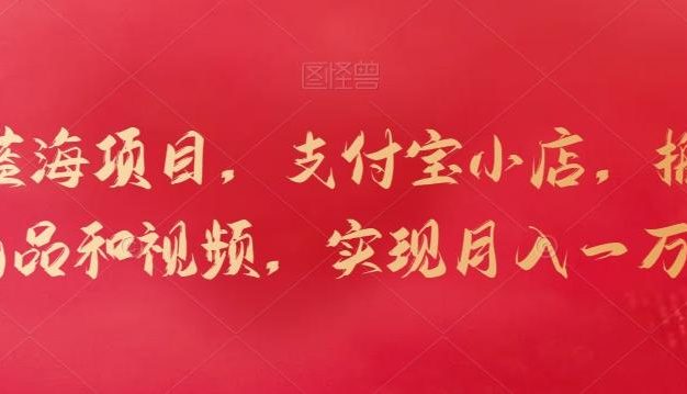 新蓝海项目，支付宝小店，搬运商品和视频，实现月入一万+【揭秘】