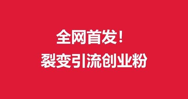 (全网首发)外面收费几千的裂变引流高质量创业粉