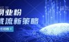 副业粉截流玩法与更新，不废号， 不封号。日引100+