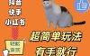 超简单玩法，有手就行，靠猫咪视频日入500+【揭秘】