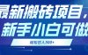 最新0门槛搬砖项目，新手小白可做，轻松日入300+