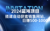 2024蓝海项目，搭建销售网站，自动获客，日赚500-1000