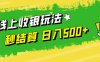 线上收银玩法，提现秒到账，时间自由，日入500+