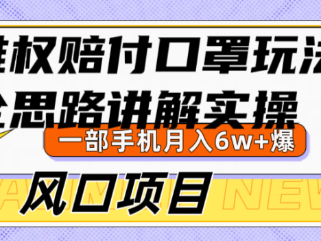 维权赔付口罩玩法,小白也能月入6w+,风口项目实操