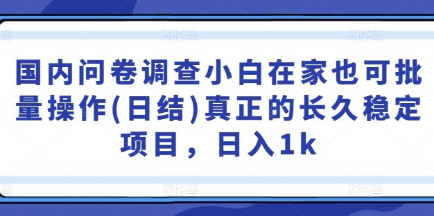 国内问卷调查小白在家也可批量操作(日结)真正的长久稳定项目，日入1k【揭秘】