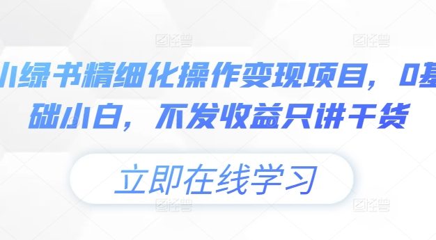 小绿书精细化操作变现项目，0基础小白，不发收益只讲干货