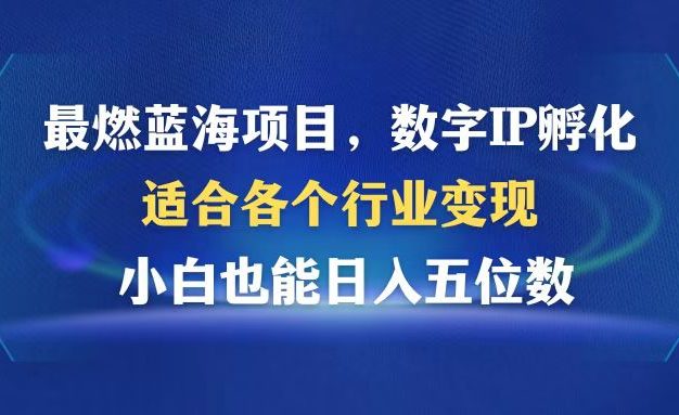 最燃蓝海项目  数字IP孵化  适合各个行业变现  小白也能日入5位数