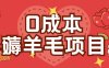 0成本，薅羊毛玩法一分钱不花一部手机即可操作单机1个小时30+