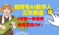 视频号AI数字人玩转三农赛道，2分钟一条视频，单月变现2W+