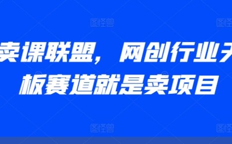 AI卖课联盟，网创行业天花板赛道就是卖项目