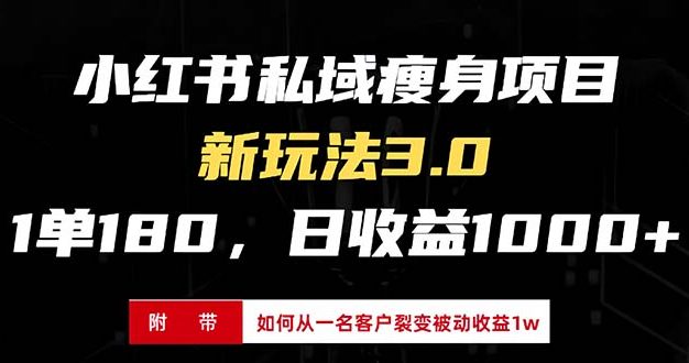 小红书瘦身项目3.0模式，新手小白日赚收益1000+(附从一名客户裂变收益…