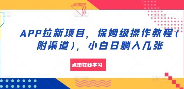 APP拉新项目，保姆级操作教程(附渠道)，小白日躺入几张【揭秘】