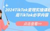 2024TikTok变现实操课程，入局TikTok必学内容
