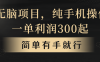 全网首发，翻身项目，年前最赚钱项目之一。收益翻倍！