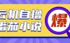 首发云手机自撸小说玩法，10块钱成本可撸200+收益操作简单【揭秘】