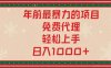 年前最暴力的项目，免费代理，轻松上手，日入1000+