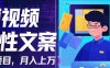 利用AI自动制作短视频人性文案项目：揭秘月入上万的精准流量变现秘籍