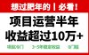 年前过肥年的必看的超冷门项目，半年收益超过10万+，