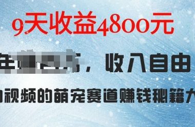 萌宠赛道赚钱秘籍：AI宠物兔视频详细拆解，9天收益4.8k