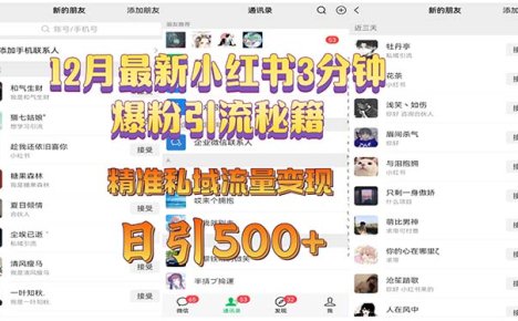 12月最新小红书3分钟爆粉引流秘籍 精准私域流量变现 日引500+
