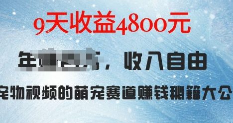 萌宠赛道赚钱秘籍：AI宠物兔视频详细拆解，9天收益4.8k