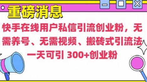 快手最新引流创业粉方法，无需养号、无需视频、搬砖式引流法【揭秘】