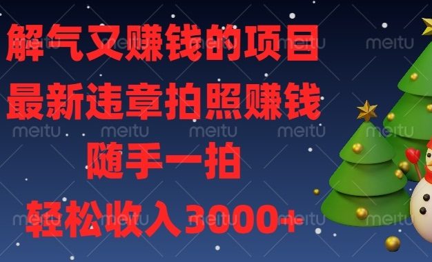 解气又赚钱的项目，最新违章拍照赚钱，随手一拍，轻松收入3000+