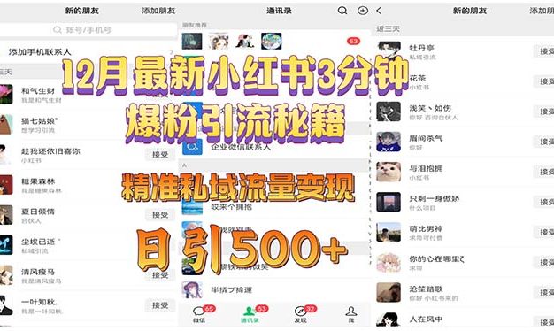 12月最新小红书3分钟爆粉引流秘籍 精准私域流量变现 日引500+