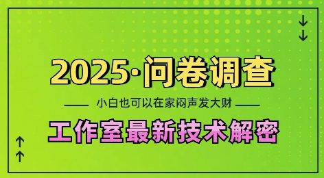 2025问卷调查最新工作室技术解密：一个人在家也可以闷声发大财，小白一天2张，可矩阵放大【揭秘】