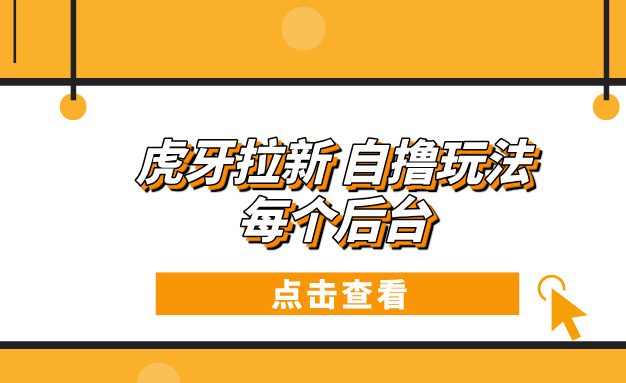 虎牙拉新项目玩法 每个后台每天100+