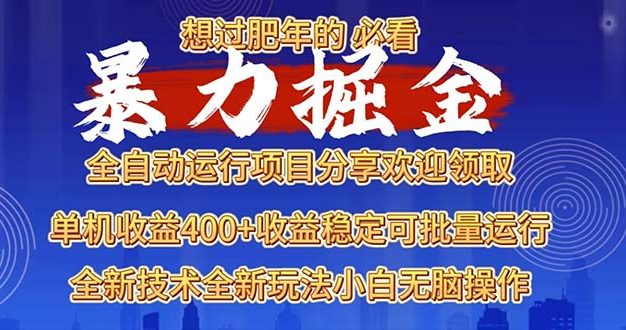 2025暴力掘金项目，想过肥年必看！