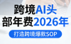 跨境AI头部年费2026年，打造跨境爆款SOP(更新3月)