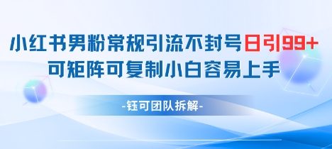 小红书男粉常规引流不封号日引99+变现简单 可矩阵可复制小白容易上手