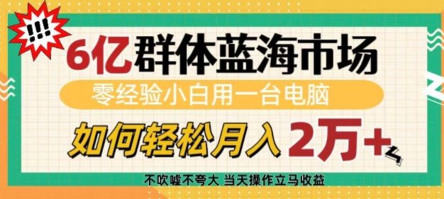 6亿群体蓝海市场，零经验小白用一台电脑，如何轻松月入过w【揭秘】