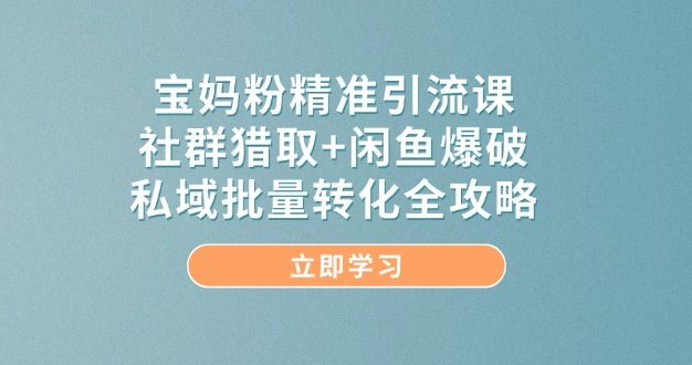 宝妈粉精准引流课，社群猎取+闲鱼爆破，私域批量转化全攻略
