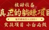 全网首发设计项目，真正实现躺赚，并且每月收益逐月增加，自己做老板