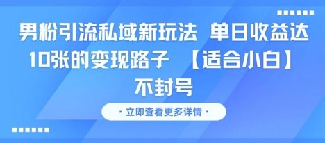 男粉引流私域新玩法，单日收益达10张的变现路子 【适合小白】不封号