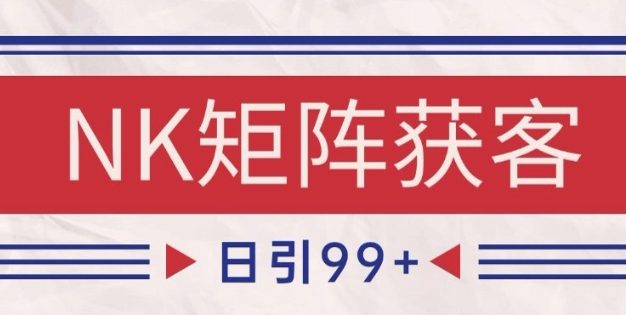小红书某音NK赛道引流获客 自热矩阵日引200+【揭秘】