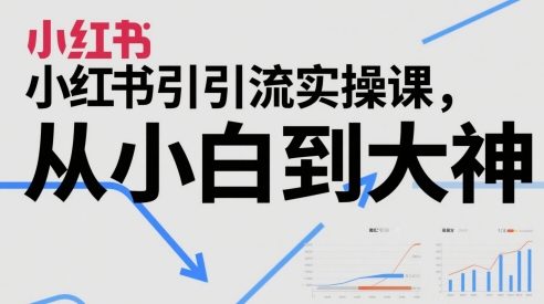 小红书引流实操课，从小白到大神