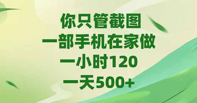 你只管截图，一部手机在家做，一小时120，-天500+