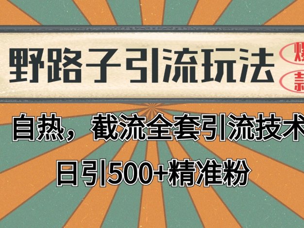 2024首发野路子引流玩法截流自热全平台打法，全自动引流【日引2000+精准客户】