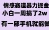 情感暴力掘金项目，新人操作一周挣了2W，长期稳定小白可做【揭秘】