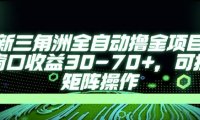 最新AI全自动游戏撸金项目，单窗口收益30-70+，可批量操作【揭秘】