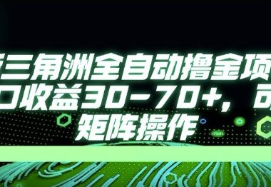最新AI全自动游戏撸金项目，单窗口收益30-70+，可批量操作【揭秘】