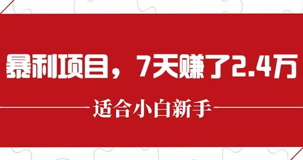 最新暴利项目，每单收益轻松在300以上，7天赚了2.4万