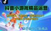 【抖音小游戏项目第二期】操作简单，长期稳定，日盈利500+，小白和工作…