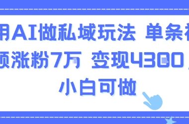 用AI做私域玩法，单条视频涨粉7W变现4.3k，小白可做